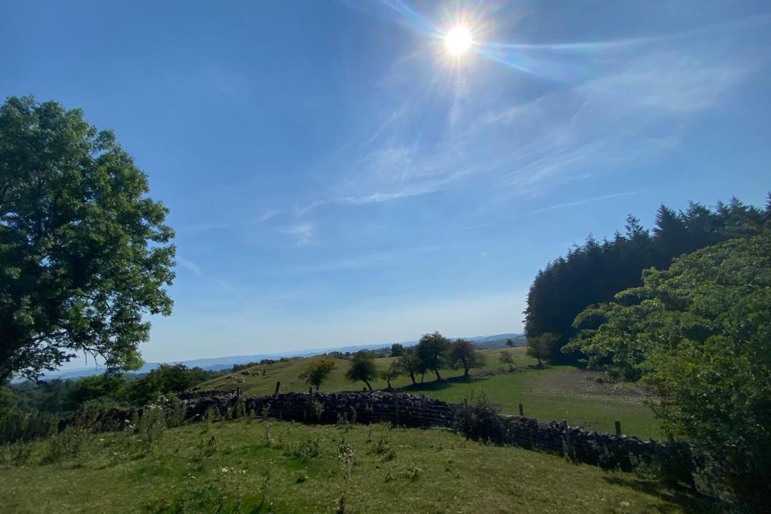 Photo of Outdoor in Longford