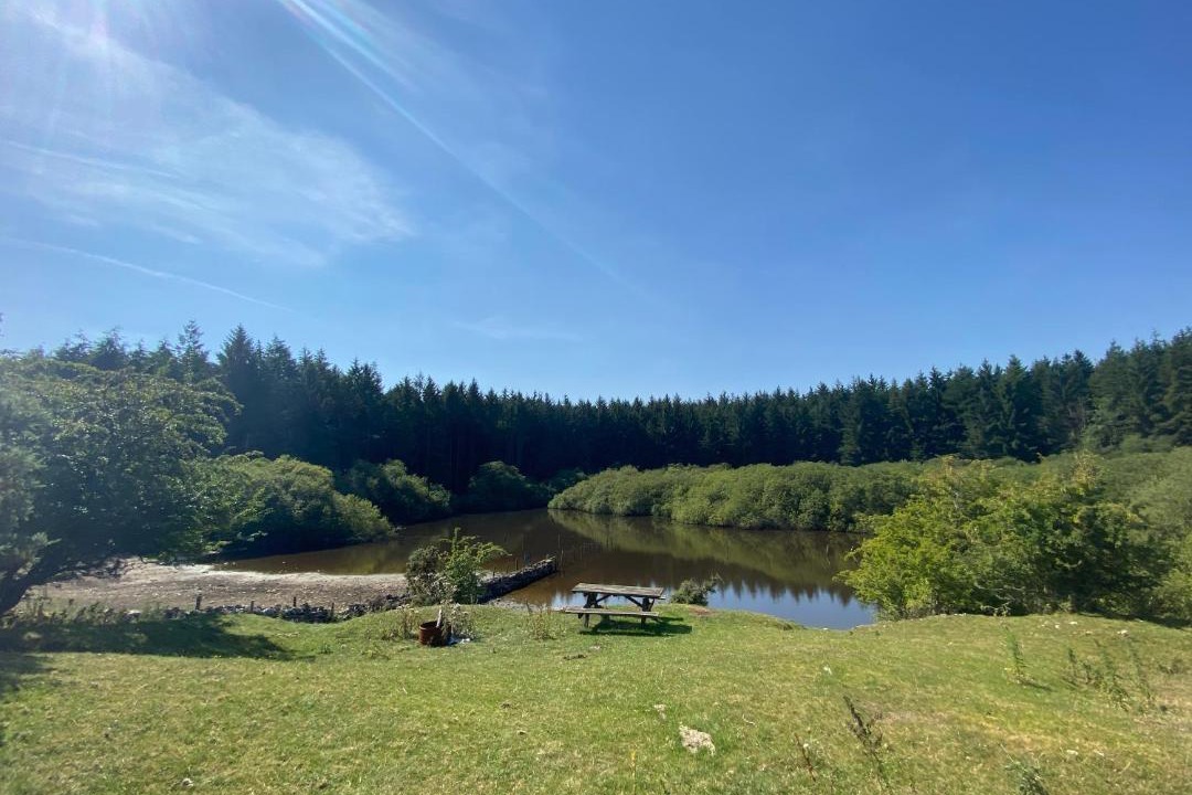 Photo of Outdoor in Longford