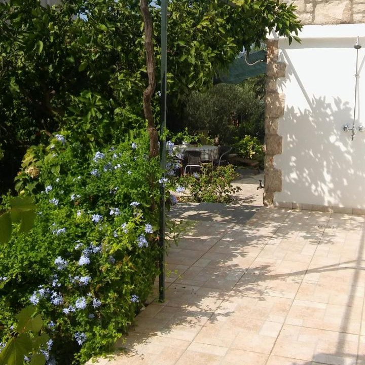 Photo of Others in Milna (Brac)