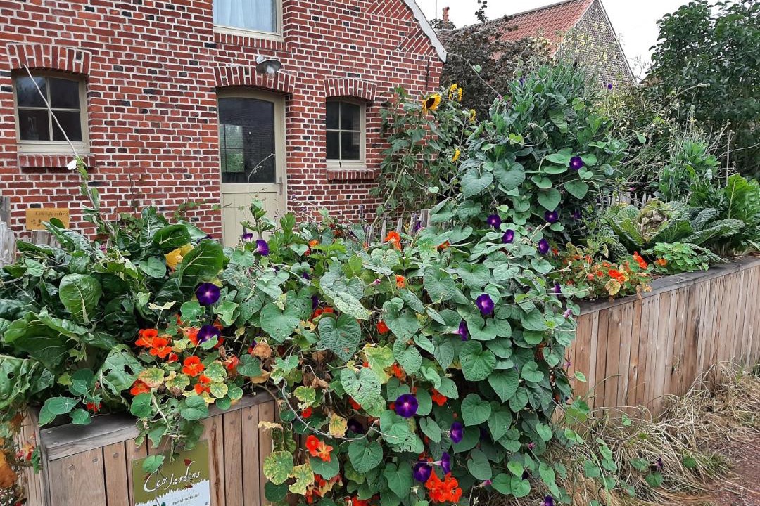 Photo of Buildings in Wandignies-Hamage