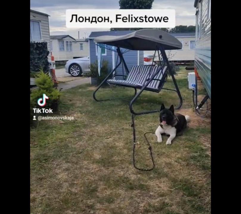 Photo of Others in Felixstowe