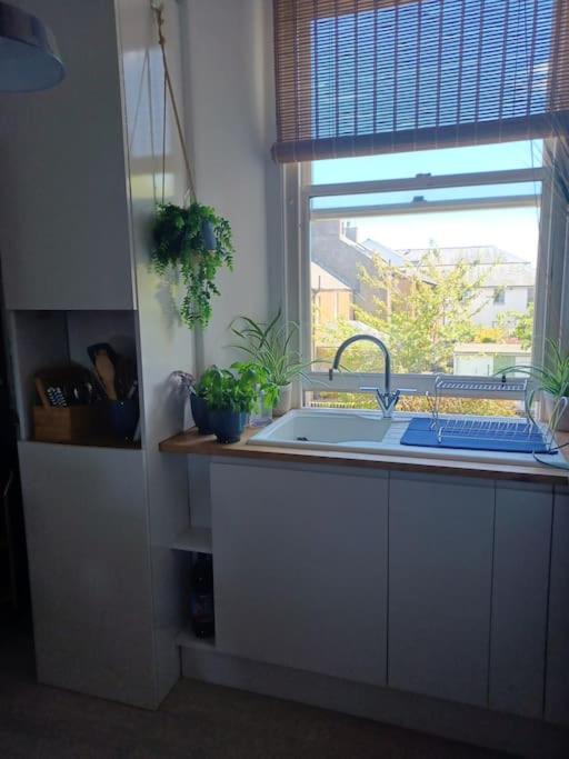 Photo of Others in Broughty Ferry