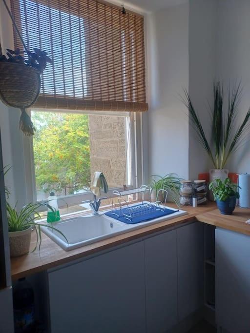 Photo of Others in Broughty Ferry