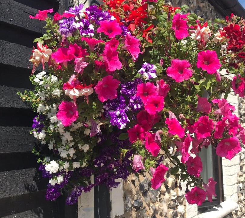 Photo of Others in Royston