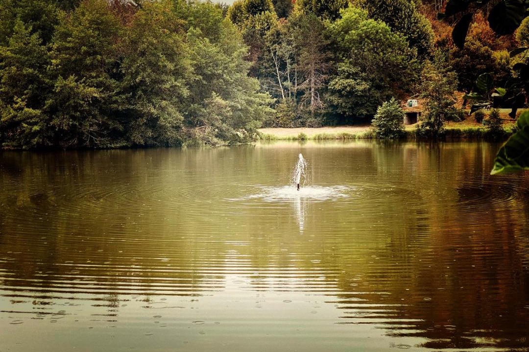 Photo of Others in Dagneux