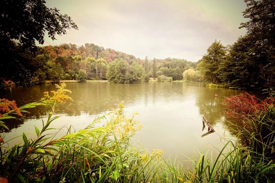 Photo of Others in Dagneux