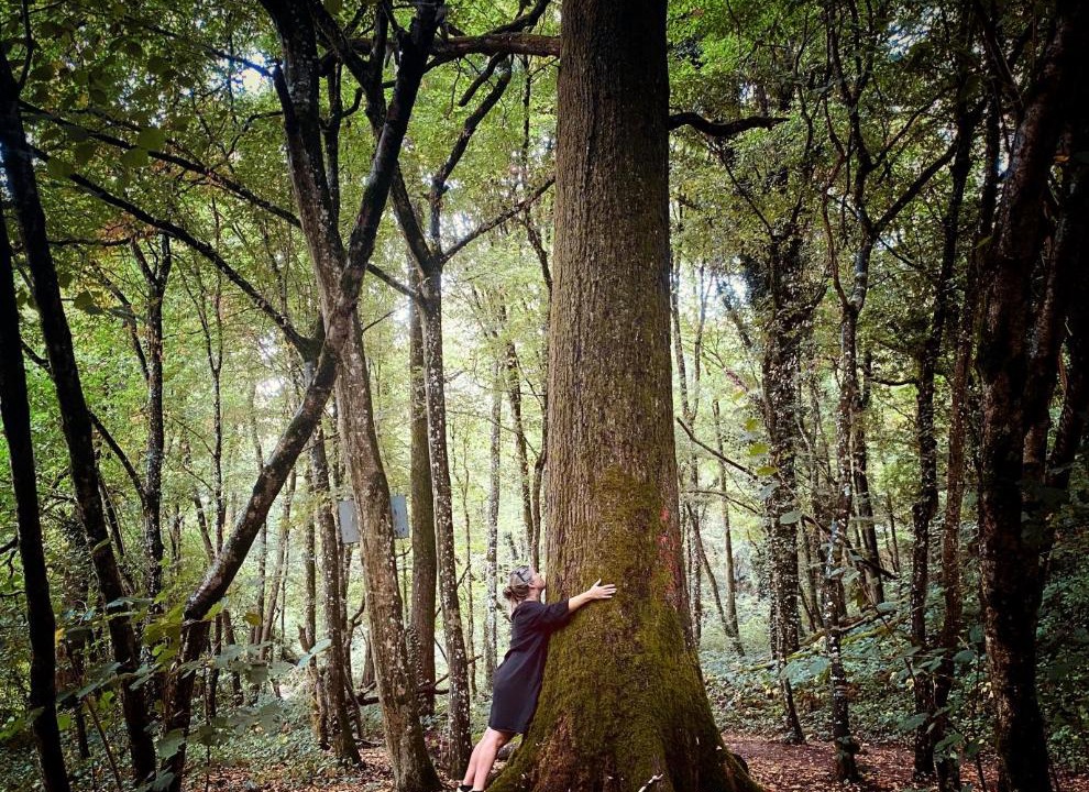 Photo of Others in Dagneux