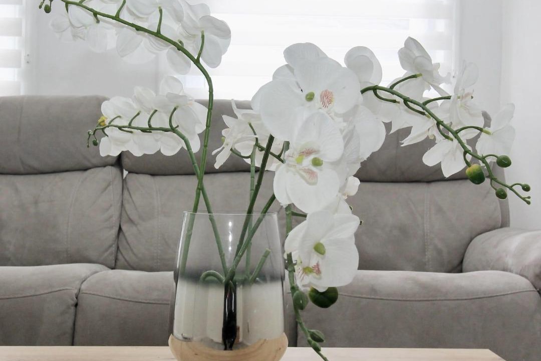 Photo of Livingroom in Cumbernauld