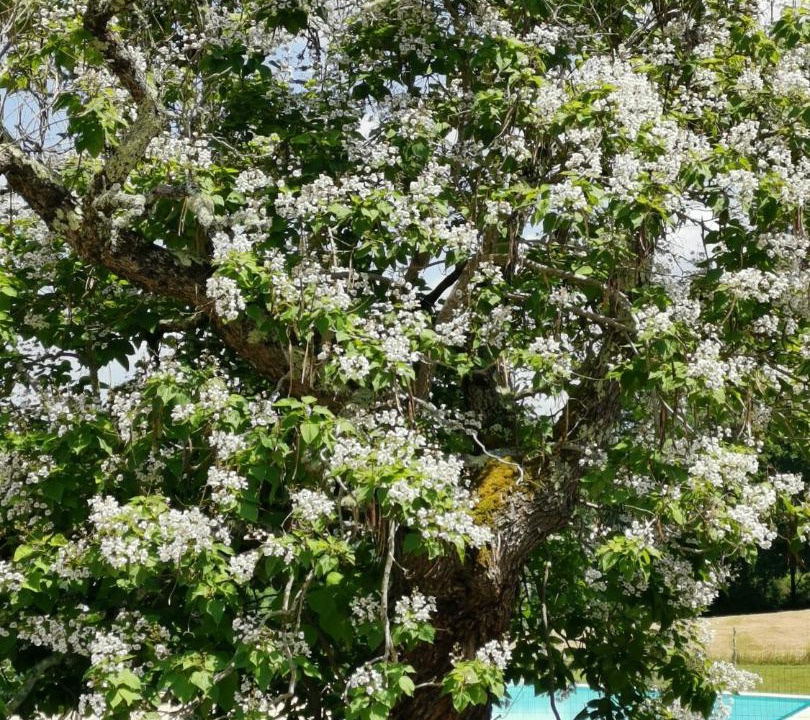 Photo of Others in Larzac