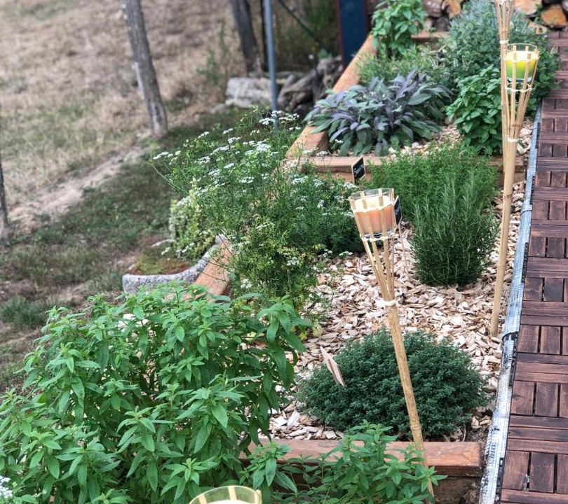 Photo of Others in Crux-la-Ville