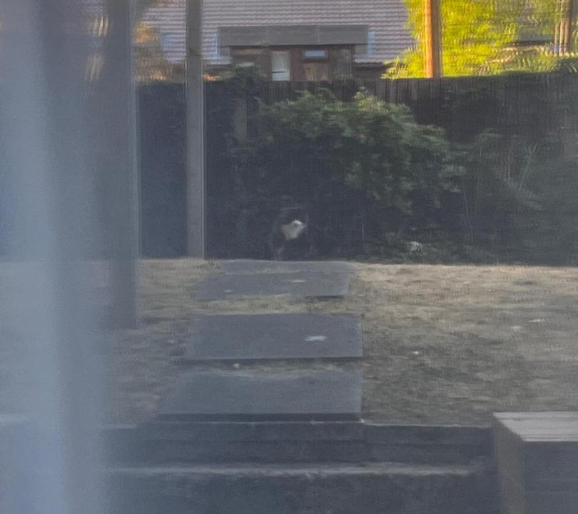 Photo of Others in Forest Hill