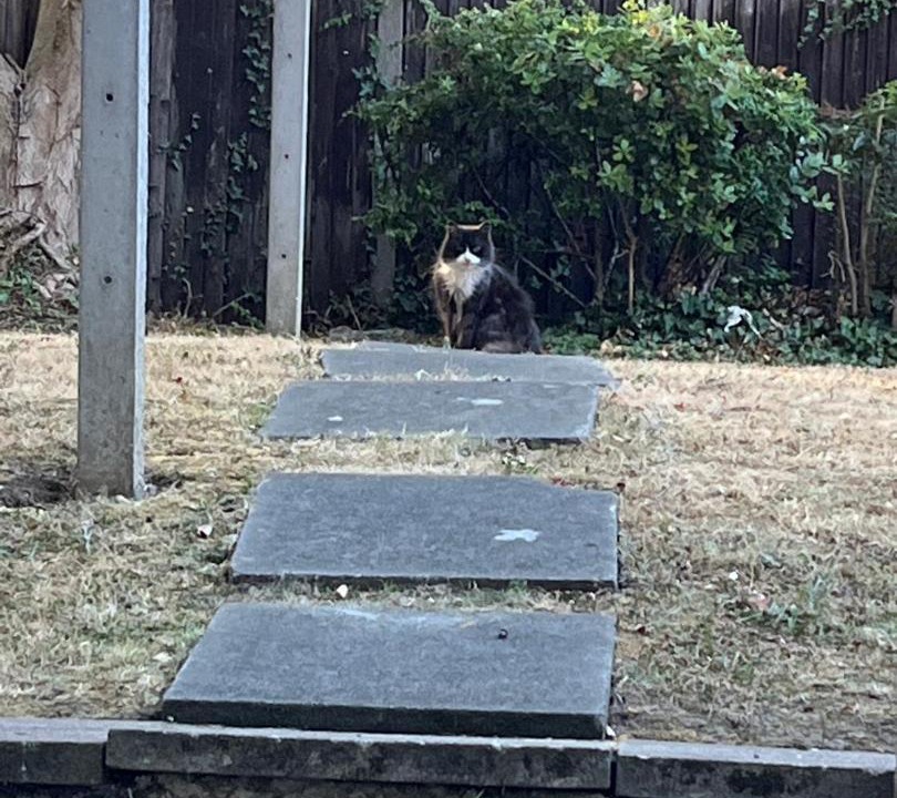 Photo of Others in Forest Hill