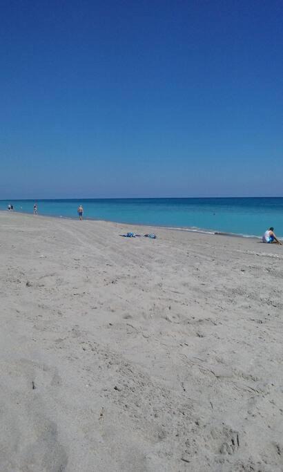 Photo of Outdoor in West Palm Beach