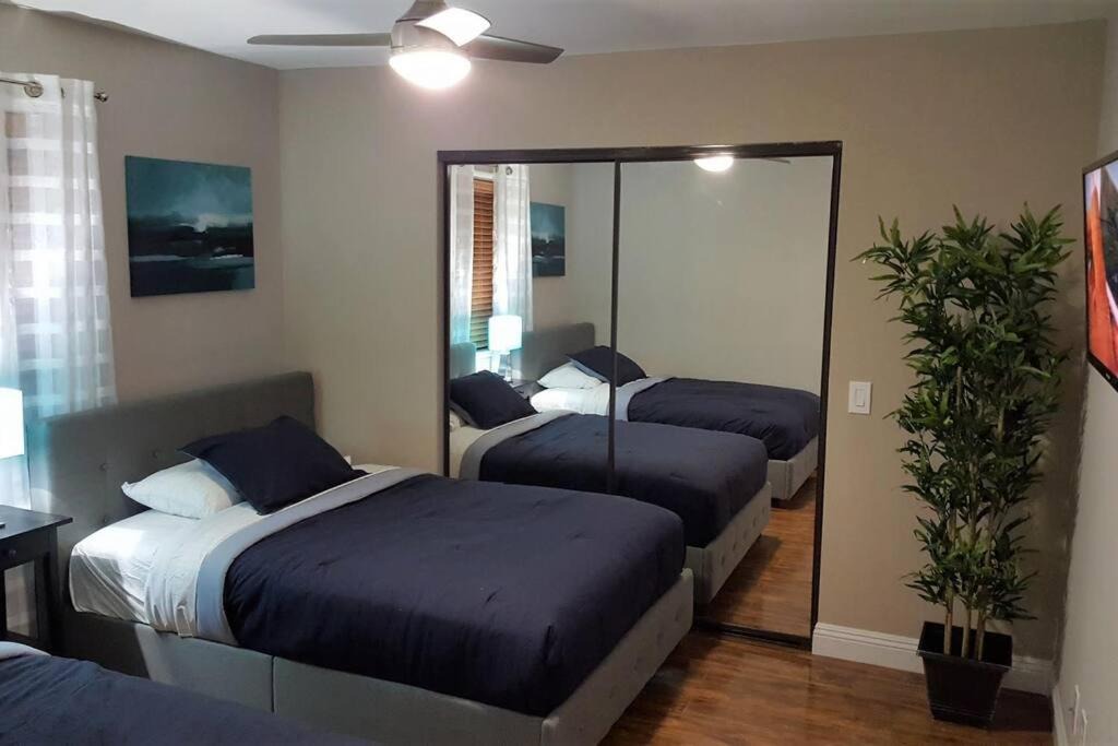 Photo of Bedroom in Spring Valley