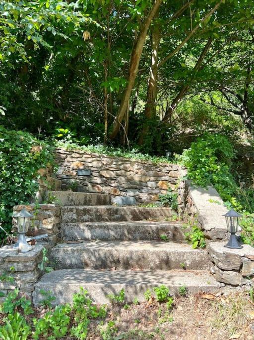 Photo of Others in Valleraugue