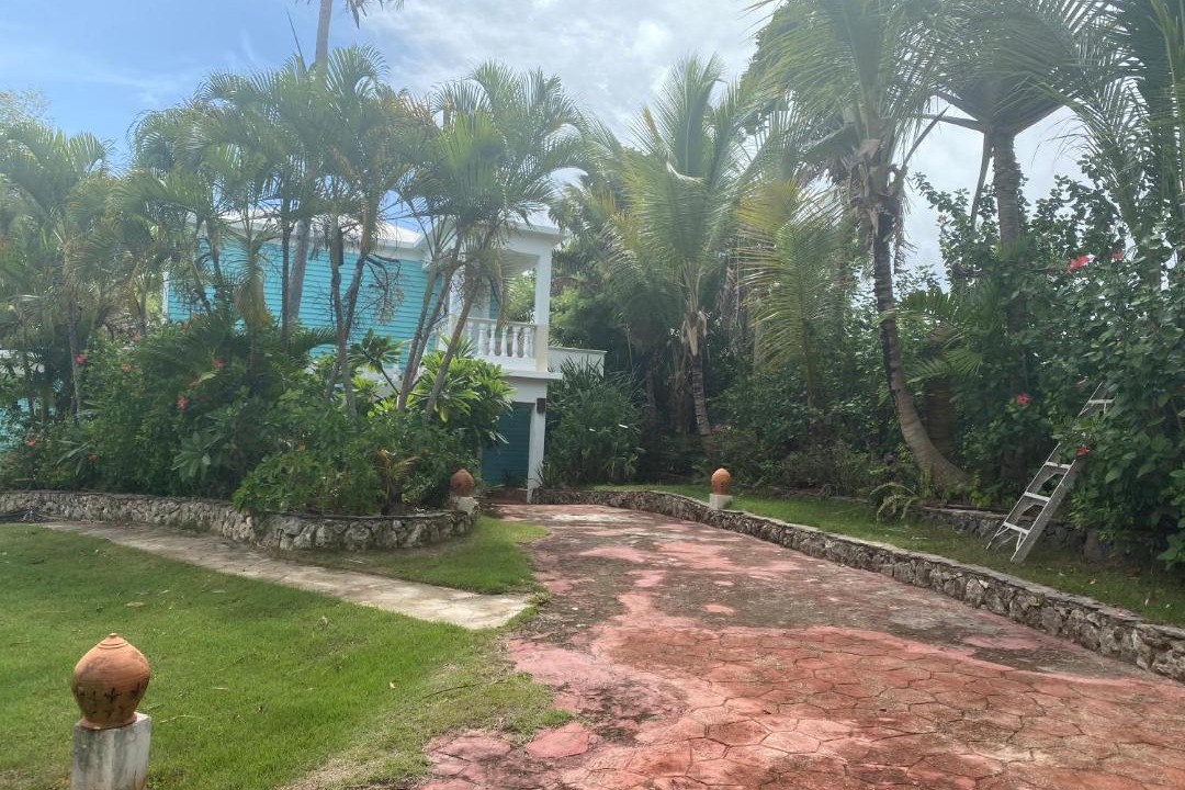 Photo of Others in Samana