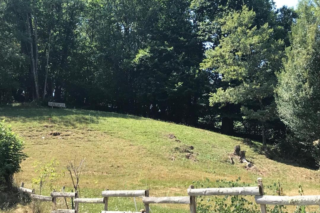 Photo of Others in Nistos