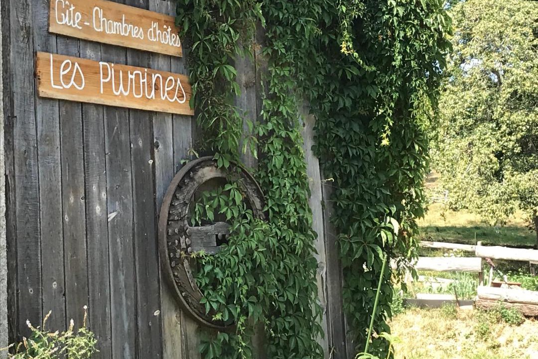 Photo of Others in Nistos