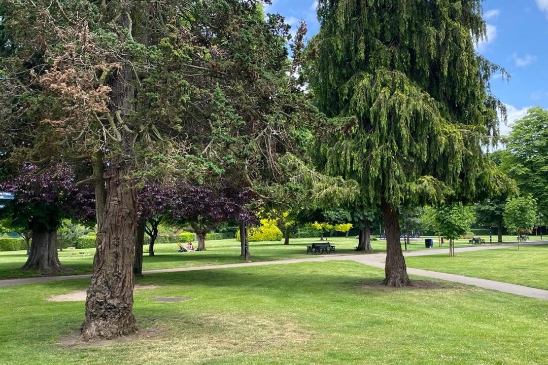 Photo of Others in Woking