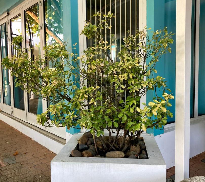 Photo of Others in Mont-de-Marsan