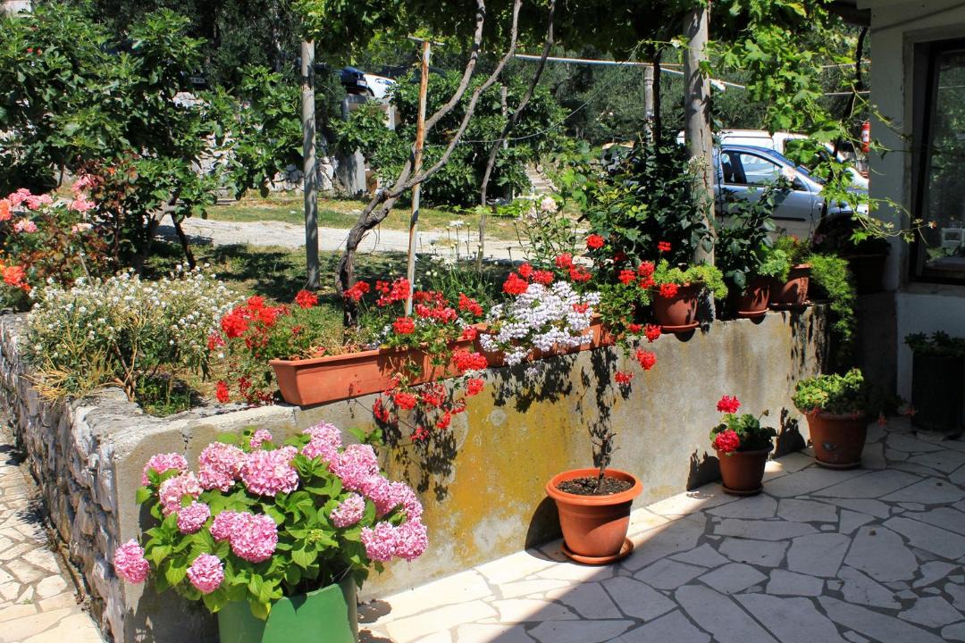 Photo of Others in Krucica