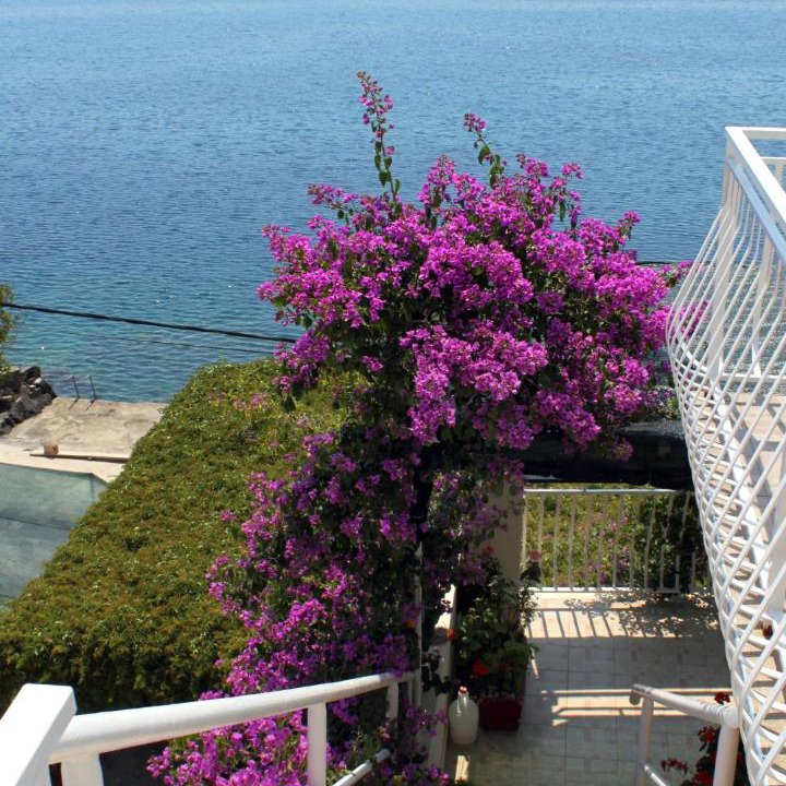 Photo of Patio Balcony in Molunat