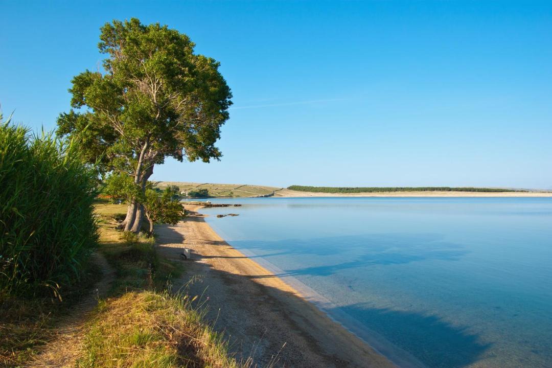 Photo of Others in Povljana