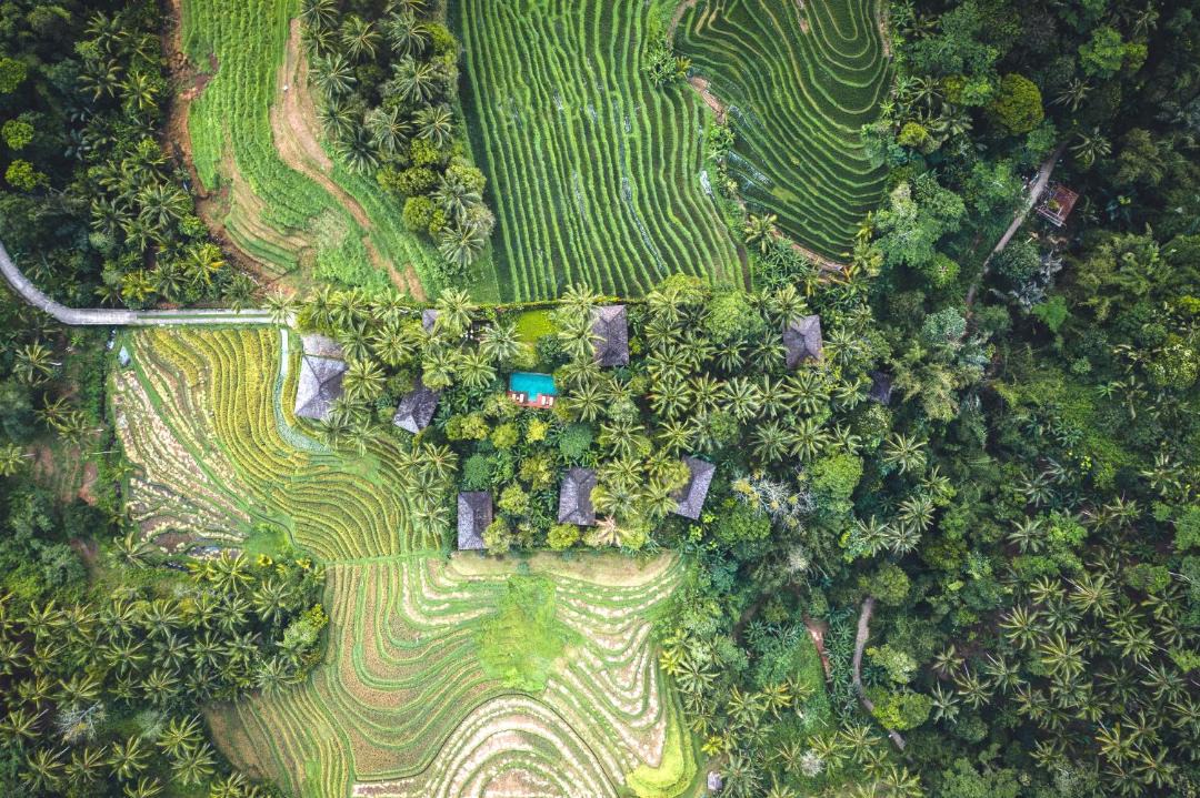 Photo of Others in East Selemadeg