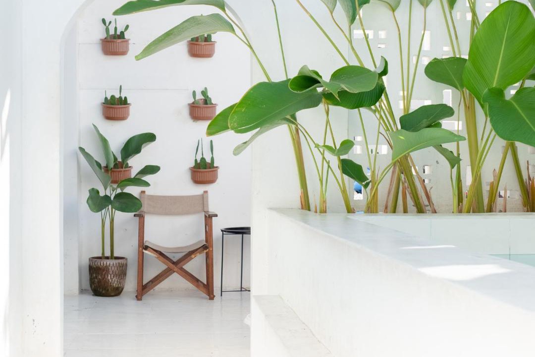 Photo of Others in Makassar