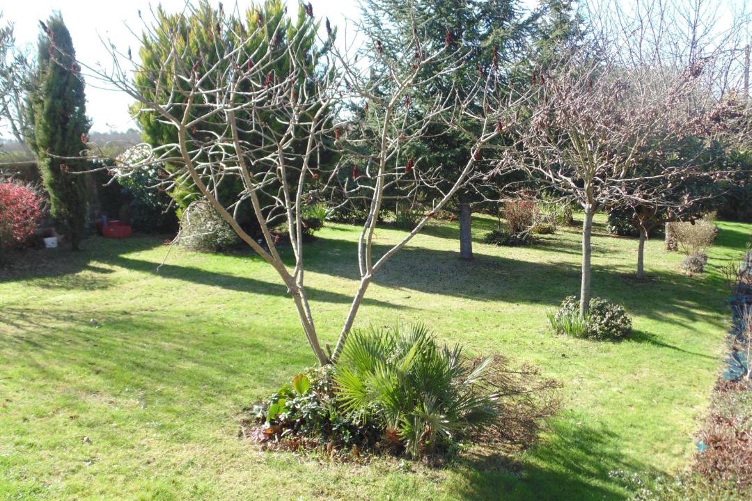 Photo of Outdoor in Gratens