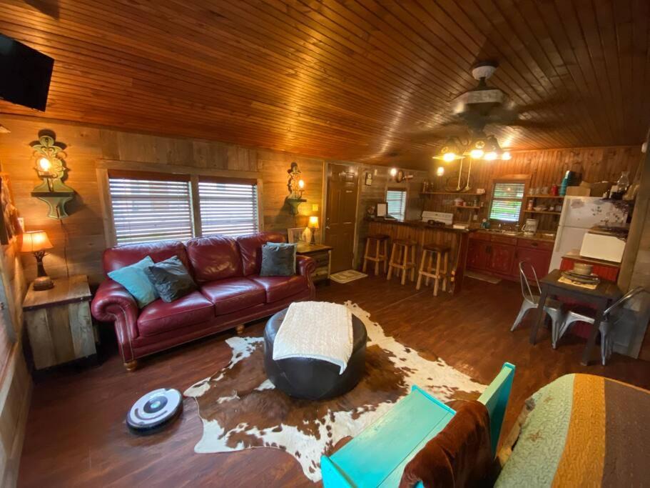 Photo of Livingroom in Bandera