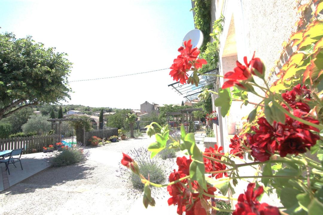 Photo of Others in Salsigne