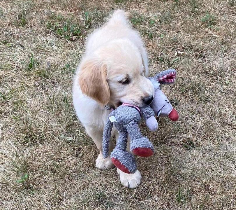 Photo of Others in Viviers-du-Lac