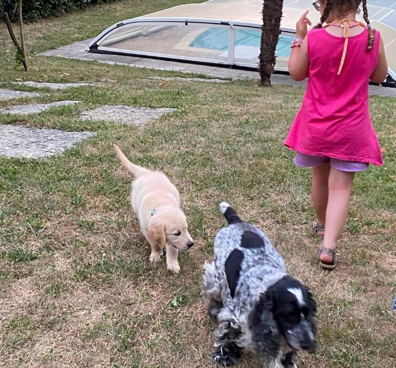 Photo of Others in Viviers-du-Lac