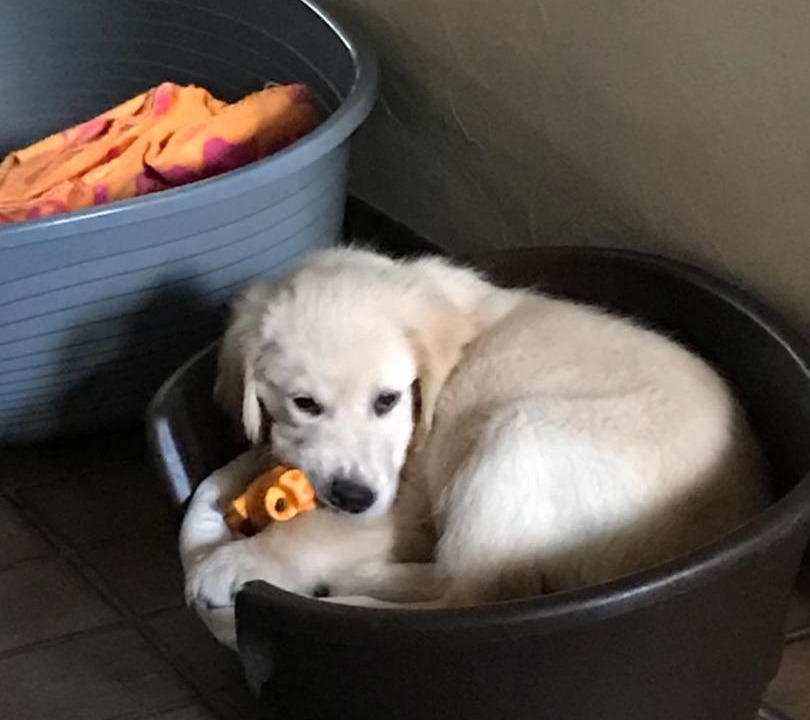 Photo of Others in Viviers-du-Lac