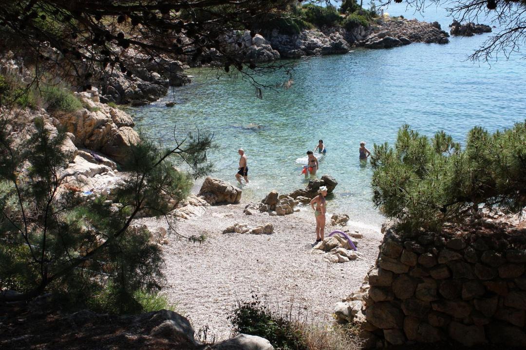 Photo of Others in Suha Punta
