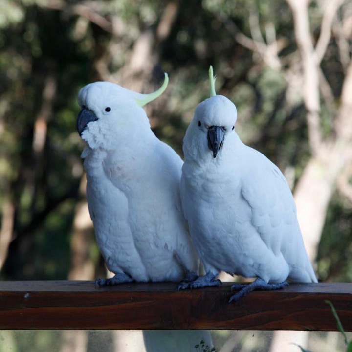 Photo of Others in Kalorama