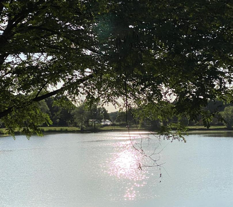 Photo of Outdoor in Ouzouer-sur-Loire