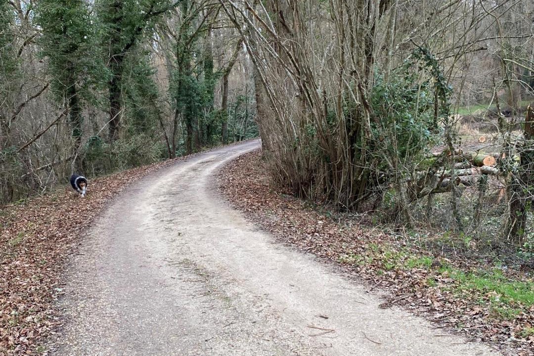 Photo of Outdoor in Ouzouer-sur-Loire