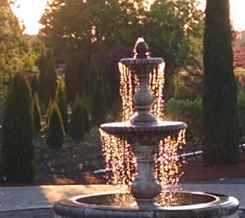 Photo of Others in Forest Grove