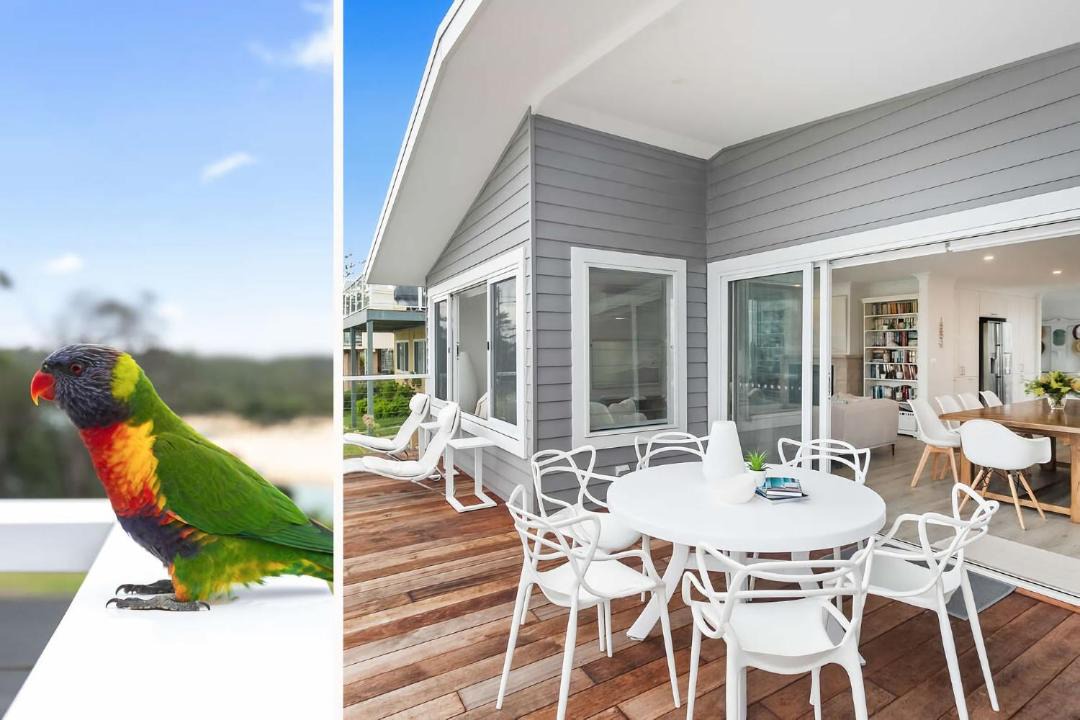 Photo of Others in Dolphin Point