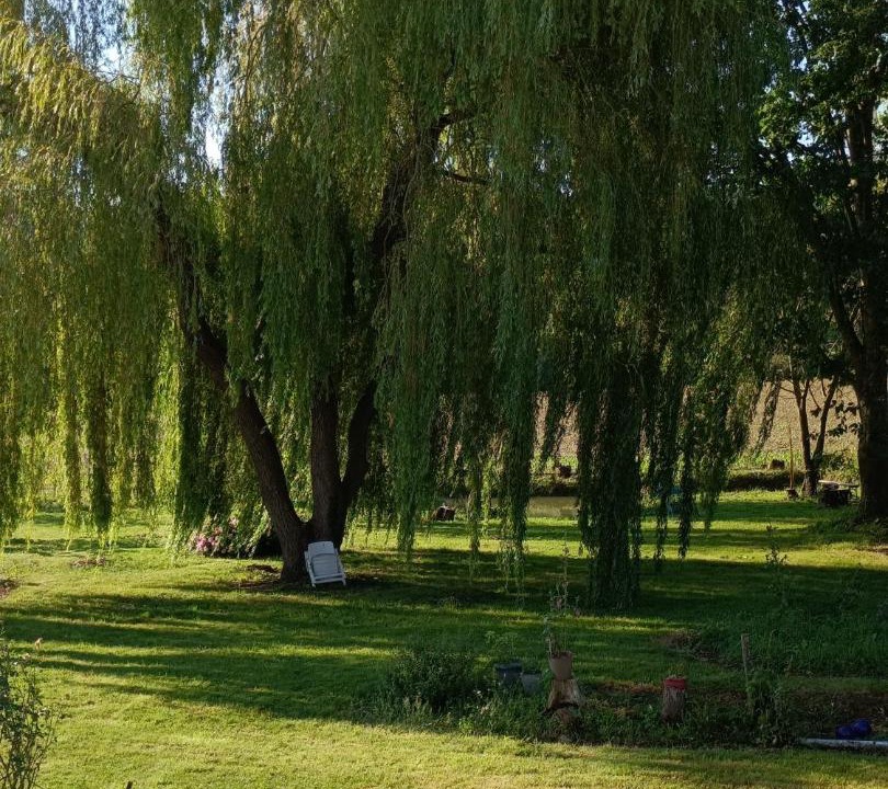 Photo of Others in Betpouy