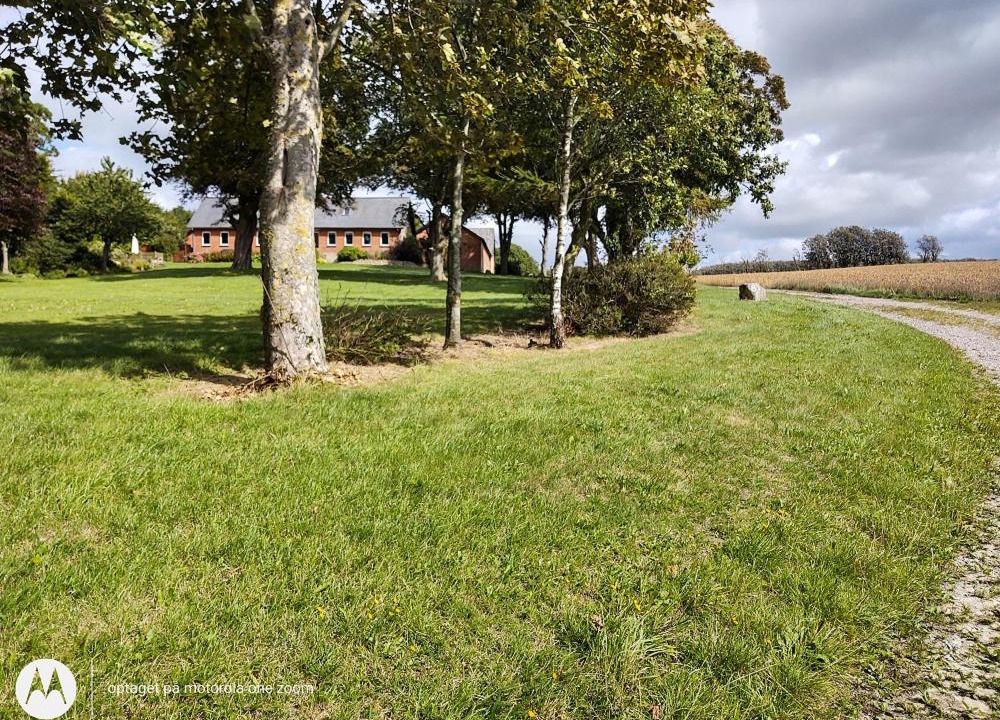 Photo of Others in Nibe