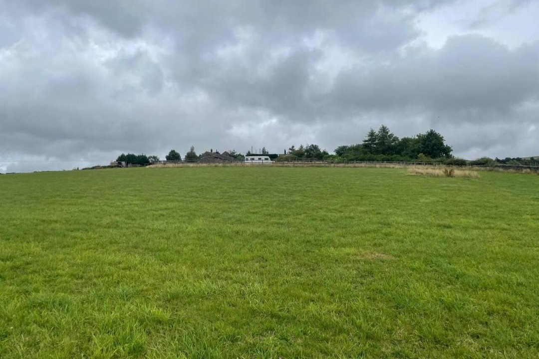 Photo of Others in Pecket Well