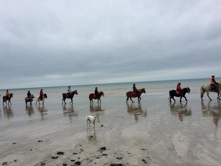 Photo of Others in Brehal