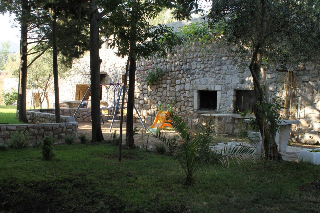 Photo of Others in Pag
