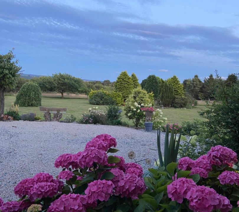 Photo of Others in Pickering