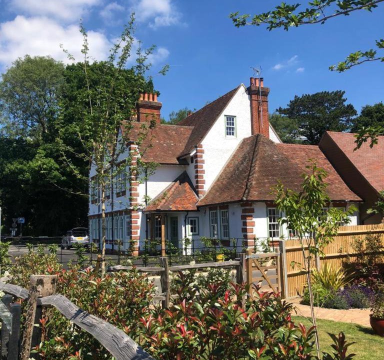 Photo of Others in Ewhurst