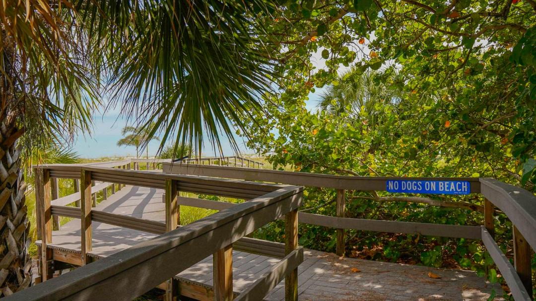 Photo of Others in Treasure Island