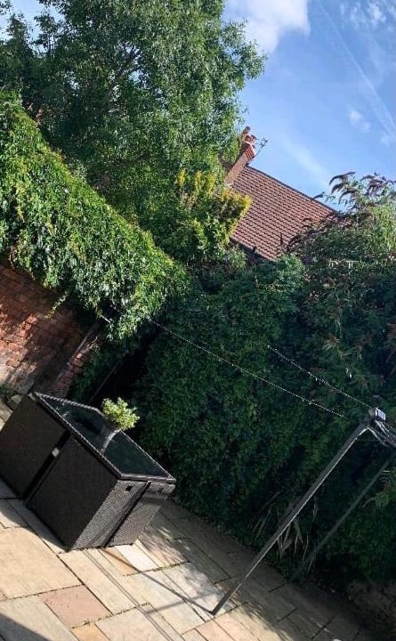 Photo of Others in Waterloo